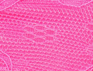 Hot Pink