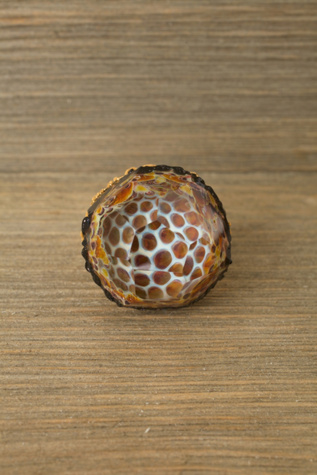 Golden Glass Ring