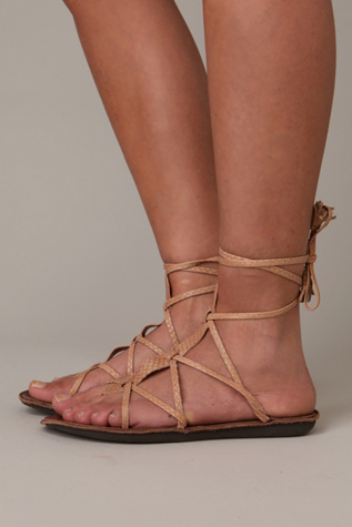Sahara