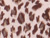 Pink Leopard