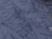 Washed Sky