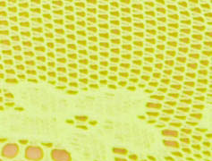 NEON YELLOW