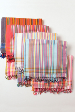 Multi Color Stripe