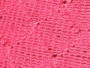 Coral Punch