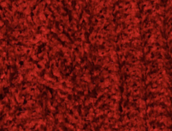 Mulberry