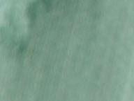 Sea Spray