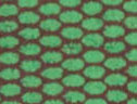 Green Tribal