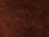 Saddle Suede