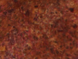 Red Vintage