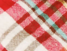 Red Plaid