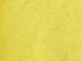 Yellow Fish