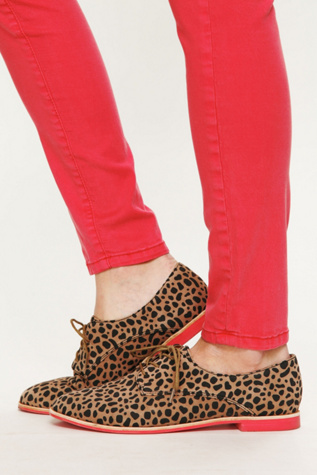 Cheetah