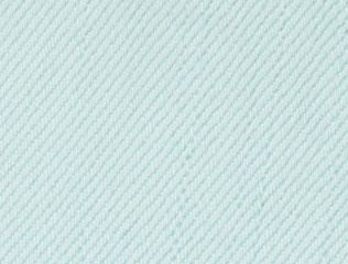 Robin's Egg Blue