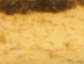 BRASS WISHBONE