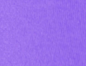 BRIGHT PLUM