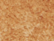 DESERT