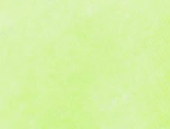 NEON SPEARMINT