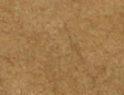 Taupe Suede - Orange