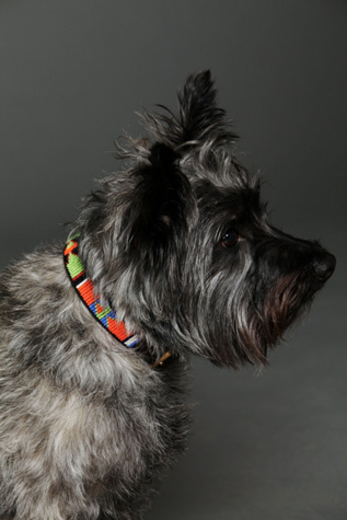 Wewe Tembo Beaded Collar