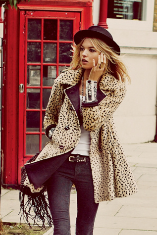 Cheetah