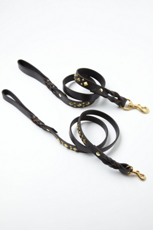 Black / Gold