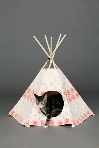Printed Cat Tipi
