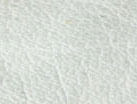 Seafoam