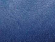 Blue / Navy