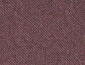 Raspberry
