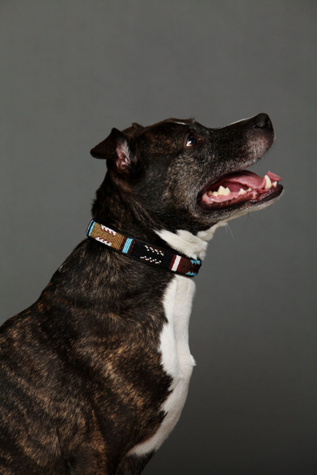 Paka Beaded Collar