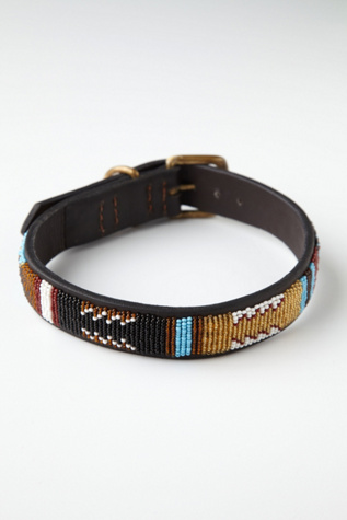 Paka Beaded Collar in fp-pet-project