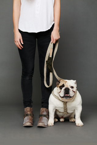 Growler Goods Orpine Leash in Pet-Leashes