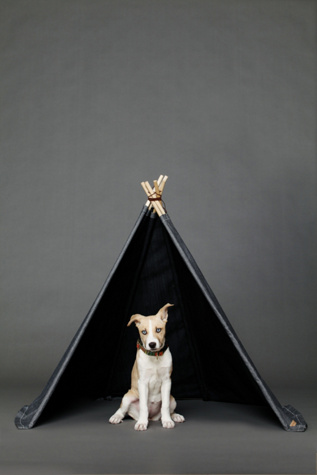 Growler Goods Saquaro Denim Tipi in Designer-Accessories