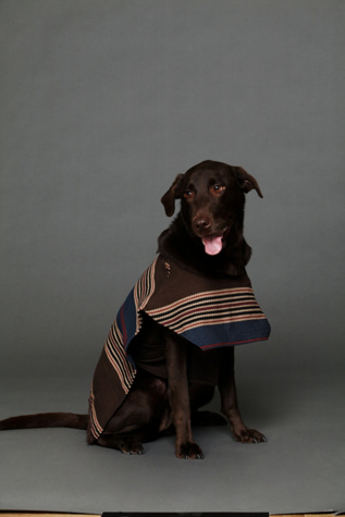 Growler Goods Ocotillo Poncho in Designer-Accessories