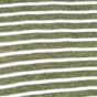 Olive / Ivory Stripe