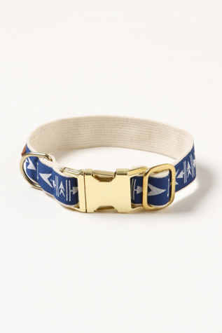 Arrowhead Dog Collar in fp-pet-project